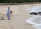 Apollo Bay